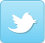 tweeticon.png